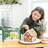 image:imageYumEarth Gingerbread House Baking Kit  No Artificial Dyes Vegan Non GMO Allergy Friendly Vegan Dairy Free Gluten Free Ginger Bread Holiday Baking Kit with Candy