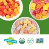 image:imageYumEarth Holiday Organic 12 Day Advent Calendar  Christmas Candy Non GMO Gluten Free Dye Free Vegan  Sour Littles Fruit Snacks and Chewys Snack Packs