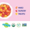 image:imageYumEarth Organic Assorted Tropical Flavor Fruit Snacks  Allergy Friendly Top 9 Free No Artificial Dyes Non GMO Gluten Free Vegan Candy Snacks  07 Ounce Pack of 5