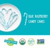 image:imageYumEarth Organic Candy Canes  Individually Wrapped Full Size Blue Raspberry Candy Canes  Dye Free Allergy Friendly Non GMO Gluten Free Vegan  10 Count Pack of 1Blue Raspberry Candy Canes