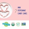 image:imageYumEarth Organic Candy Canes  Individually Wrapped Full Size Peppermint Candy Canes  Allergy Friendly Non GMO Gluten Free Vegan Dye Free Christmas Candy  10 Count Pack of 1Peppermint Mini Candy Canes
