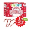 image:imageYumEarth Organic Candy Canes  Individually Wrapped Full Size Peppermint Candy Canes  Allergy Friendly Non GMO Gluten Free Vegan Dye Free Christmas Candy  10 Count Pack of 1Peppermint Mini Candy Canes