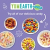 image:imageYumEarth Organic Easter Candy Variety Box 94 Ounce  Organic Gummy Fruits Jelly Beans amp Pops  Spring Fruit Flavors  Allergy Friendly Gluten Free NonGMO Vegan No Artificial Dyes10 Ounce