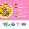 image:imageYumEarth Organic Easter Candy Variety Box 94 Ounce  Organic Gummy Fruits Jelly Beans amp Pops  Spring Fruit Flavors  Allergy Friendly Gluten Free NonGMO Vegan No Artificial Dyes4 Ounce