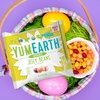 image:imageYumEarth Organic Easter Candy Variety Box 94 Ounce  Organic Gummy Fruits Jelly Beans amp Pops  Spring Fruit Flavors  Allergy Friendly Gluten Free NonGMO Vegan No Artificial Dyes10 Ounce Pack of 2