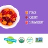 image:imageYumEarth Organic Easter Candy Variety Box 94 Ounce  Organic Gummy Fruits Jelly Beans amp Pops  Spring Fruit Flavors  Allergy Friendly Gluten Free NonGMO Vegan No Artificial Dyes75 Ounce