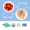 image:imageYumEarth Organic Easter Candy Variety Box 94 Ounce  Organic Gummy Fruits Jelly Beans amp Pops  Spring Fruit Flavors  Allergy Friendly Gluten Free NonGMO Vegan No Artificial Dyes6 Ounce