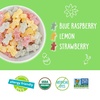 image:imageYumEarth Organic Easter Candy Variety Box 94 Ounce  Organic Gummy Fruits Jelly Beans amp Pops  Spring Fruit Flavors  Allergy Friendly Gluten Free NonGMO Vegan No Artificial Dyes4 Ounce