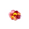 image:imageYumEarth Organic Fruit Drops Hard Candy Assorted Flavors 425 Pound Pack of 1  Allergy Friendly Non GMO Gluten Free Vegan Packaging May VaryVariety Pack