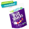 image:imageYumEarth Organic Fruit Snacks Assorted 5 Oz5 Ounce Pack of 1