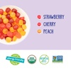 image:imageYumEarth Organic Fruit Snacks Assorted 5 Oz5 Ounce Pack of 1