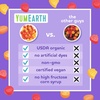image:imageYumEarth Organic Fruit Snacks Assorted 5 Oz5 Ounce Pack of 1