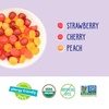 image:imageYumEarth Organic Fruit Snacks Box 07 Ounce Pack of 10Fruit