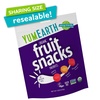 image:imageYumEarth Organic Fruit Snacks Box 07 Ounce Pack of 10Fruit