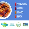 image:imageYumEarth Organic Gummy Bears  Fruity Gummy Candy Snack Packs Gluten Free Snacks for Kids  Allergy Friendly NonGMO No Artificial Dyes  Assorted Flavors 105 oz Pack of 1507 Ounce Pack of 10