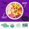 image:imageYumEarth Organic Halloween Variety Box  Allergy Friendly Top 9 Free No Artificial Dyes Non GMO Gluten Free Vegan Candy Snacks Individually Wrapped Pack of 50Giggles  Chewys Variety Pack