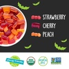 image:imageYumEarth Organic Halloween Variety Box  Allergy Friendly Top 9 Free No Artificial Dyes Non GMO Gluten Free Vegan Candy Snacks Individually Wrapped Pack of 50Gummy Fruits