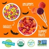 image:imageYumEarth Organic Halloween Variety Box  Allergy Friendly Top 9 Free No Artificial Dyes Non GMO Gluten Free Vegan Candy Snacks Individually Wrapped Pack of 50Variety Pack
