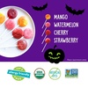 image:imageYumEarth Organic Halloween Variety Box  Allergy Friendly Top 9 Free No Artificial Dyes Non GMO Gluten Free Vegan Candy Snacks Individually Wrapped Pack of 50Lollipops
