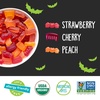 image:imageYumEarth Organic Halloween Variety Box  Allergy Friendly Top 9 Free No Artificial Dyes Non GMO Gluten Free Vegan Candy Snacks Individually Wrapped Pack of 50Gummy Fruits