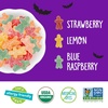 image:imageYumEarth Organic Halloween Variety Box  Allergy Friendly Top 9 Free No Artificial Dyes Non GMO Gluten Free Vegan Candy Snacks Individually Wrapped Pack of 50Sour Littles