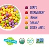 image:imageYumEarth Organic Sour Giggles Chewy Candy  Allergy Friendly Top 9 Free No Artificial Dyes Non GMO Gluten Free Vegan  Individually Wrapped Sour Snack Packs  05 Ounce Pack of 10Giggles