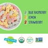 image:imageYumEarth Organic Sour Littles Chewy Candy  Allergy Friendly Top 9 Free No Artificial Dyes Non GMO Gluten Free Vegan Candy Snacks  5 Ounce Bag05 Ounce Pack of 15