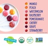 image:imageYumEarth Organic Vitamin C Pops Variety Pack 250 Fruit Flavored Favorites Lollipops Allergy Friendly Gluten Free NonGMO Vegan No Artificial DyesVariety Pack