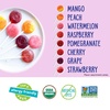 image:imageYumEarth Organic Vitamin C Pops Variety Pack 250 Fruit Flavored Favorites Lollipops Allergy Friendly Gluten Free NonGMO Vegan No Artificial DyesVitamin C Pops Variety Pack