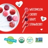 image:imageYumearth Gummy Fruit Valentines Heart Organic 75 OunceLollipops
