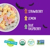image:imageYumearth Organic Sour Littles 15 Count 75 Ounce